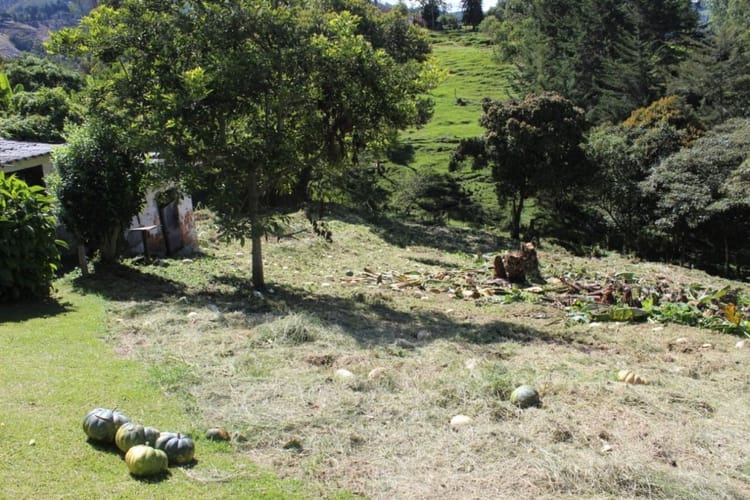 Finca en venta en Santa Elena, El Retiro, 6000 m² · foto 14 de 18