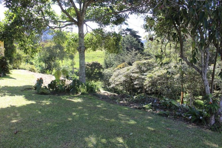 Finca en venta en Santa Elena, El Retiro, 6000 m² · foto 16 de 18