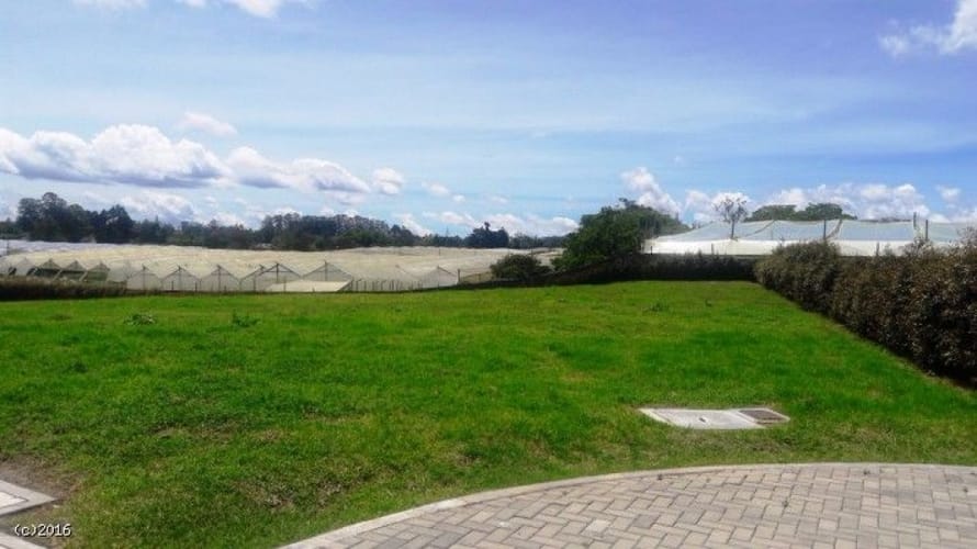 Lote en venta en Llano Grande, Rionegro, 3314 m² · foto 14 de 15