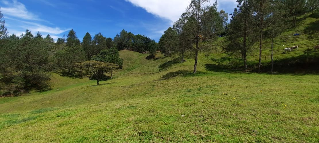 Finca en venta en La Laja, Rionegro, 78267 m² · foto 2 de 23
