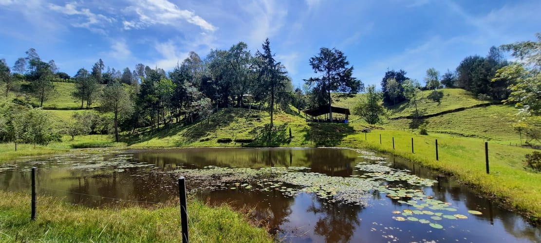 Finca en venta en La Laja, Rionegro, 78267 m² · foto 3 de 23