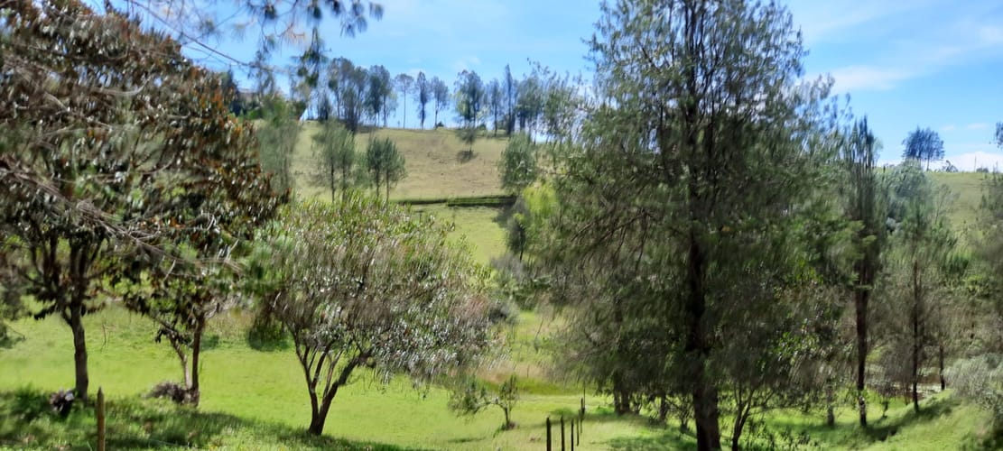 Finca en venta en La Laja, Rionegro, 78267 m² · foto 4 de 23