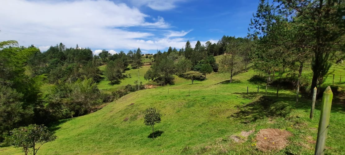 Finca en venta en La Laja, Rionegro, 78267 m² · foto 5 de 23