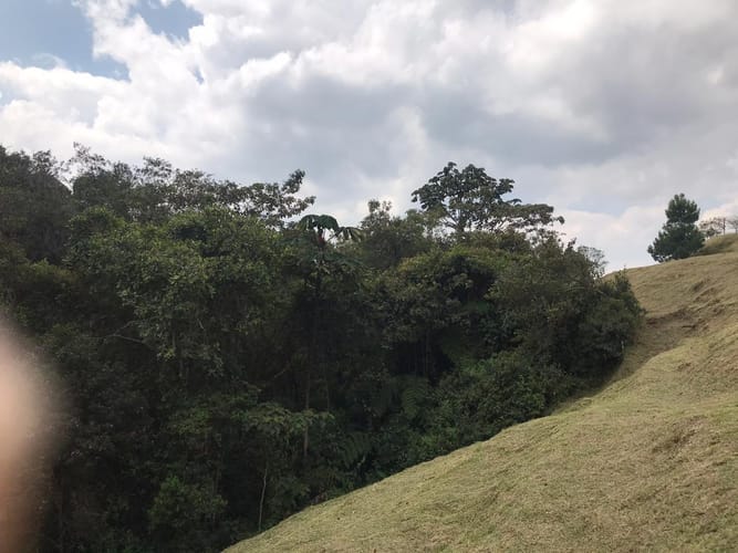 Lote en venta en El Retiro, 10000 m² · foto 7 de 24