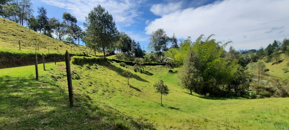 Finca en venta en La Laja, Rionegro, 78267 m² · foto 6 de 23