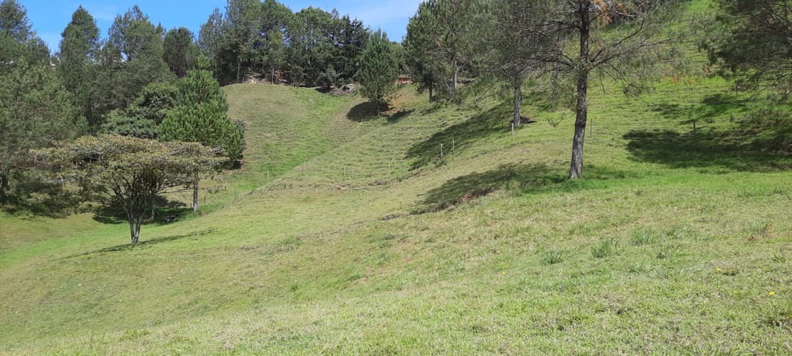 Finca en venta en La Laja, Rionegro, 78267 m² · foto 7 de 23
