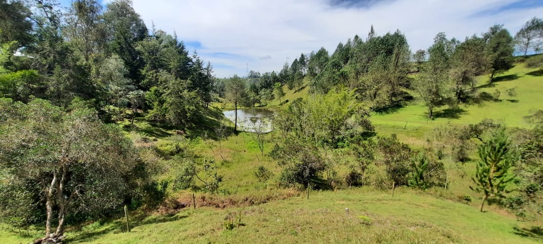 Finca en venta en La Laja, Rionegro, 78267 m² · foto 8 de 23