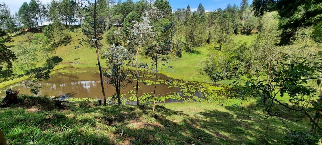 Finca en venta en La Laja, Rionegro, 78267 m² · foto 9 de 23