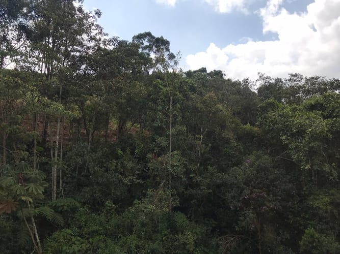 Lote en venta en El Retiro, 10000 m² · foto 12 de 24