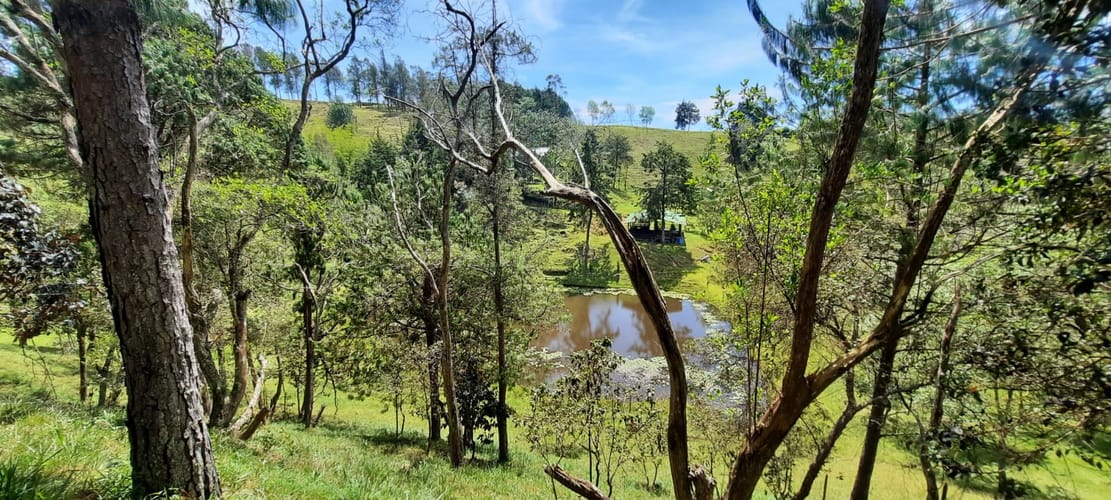 Finca en venta en La Laja, Rionegro, 78267 m² · foto 10 de 23