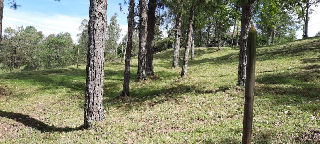 Finca en venta en La Laja, Rionegro, 78267 m² · foto 11 de 23