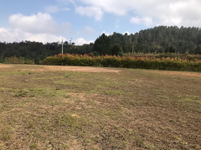 Lote en venta en El Retiro, 10000 m² · foto 14 de 24
