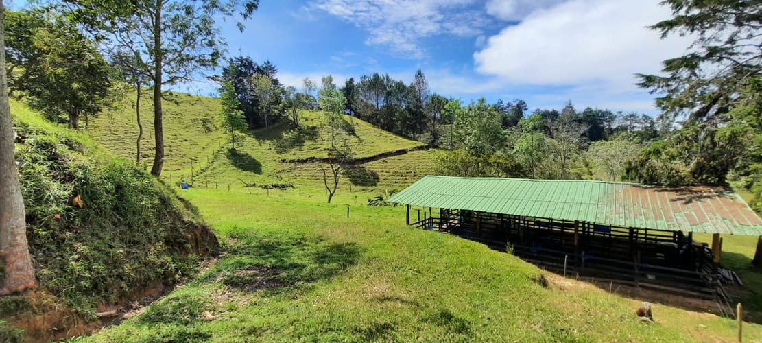 Finca en venta en La Laja, Rionegro, 78267 m² · foto 12 de 23
