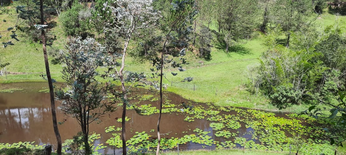 Finca en venta en La Laja, Rionegro, 78267 m² · foto 13 de 23