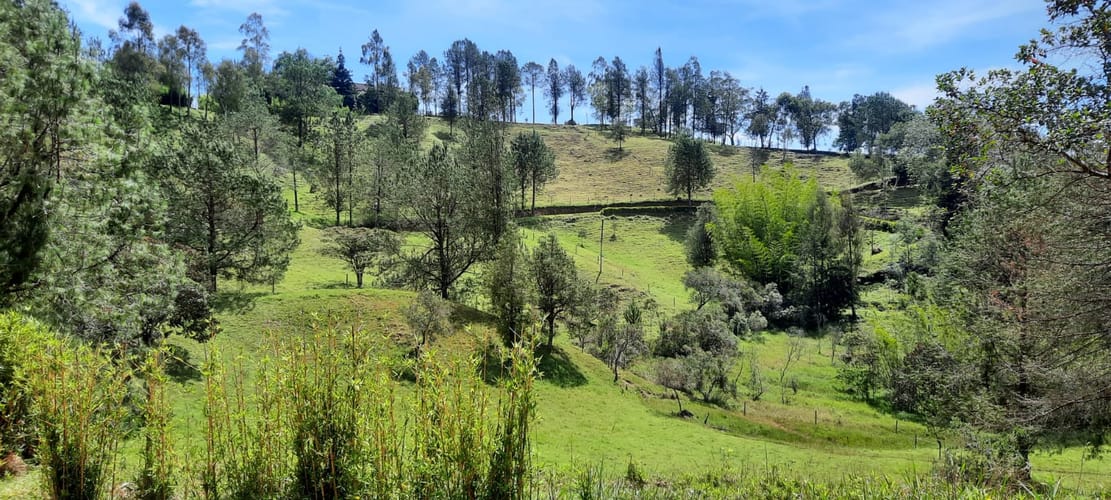 Finca en venta en La Laja, Rionegro, 78267 m² · foto 14 de 23