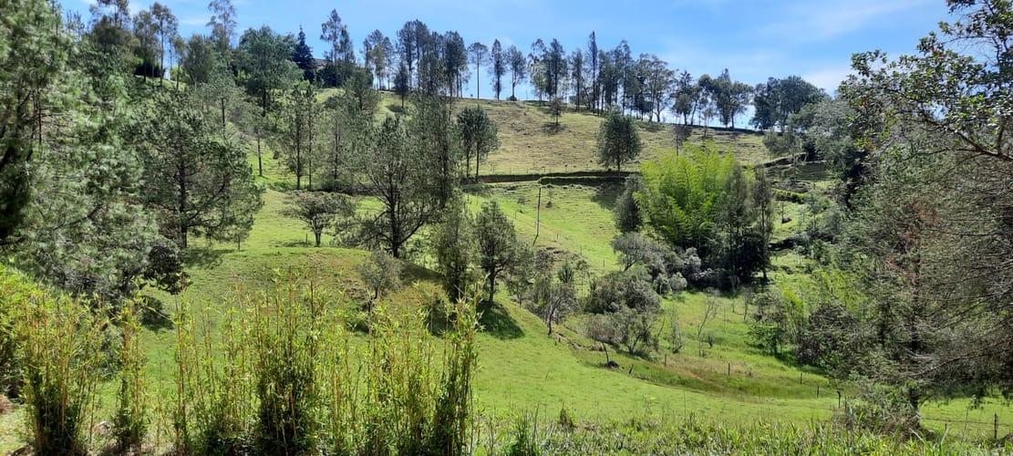 Finca en venta en La Laja, Rionegro, 78267 m² · foto 15 de 23