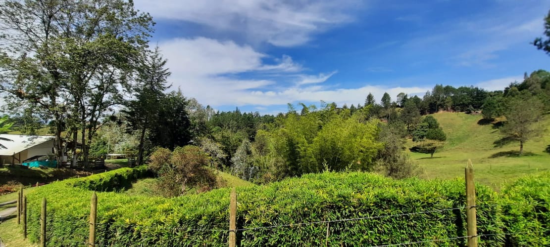 Finca en venta en La Laja, Rionegro, 78267 m² · foto 17 de 23