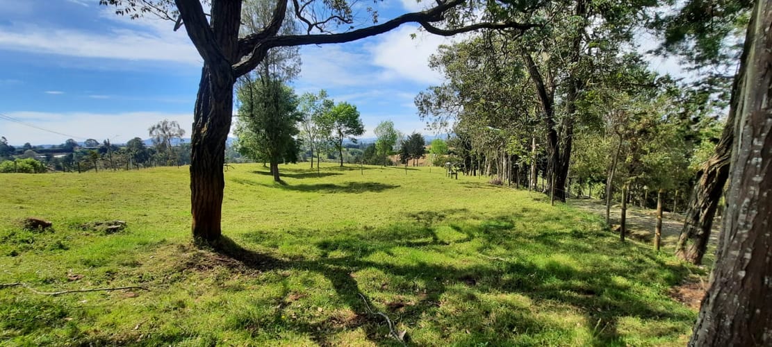 Finca en venta en La Laja, Rionegro, 78267 m² · foto 18 de 23