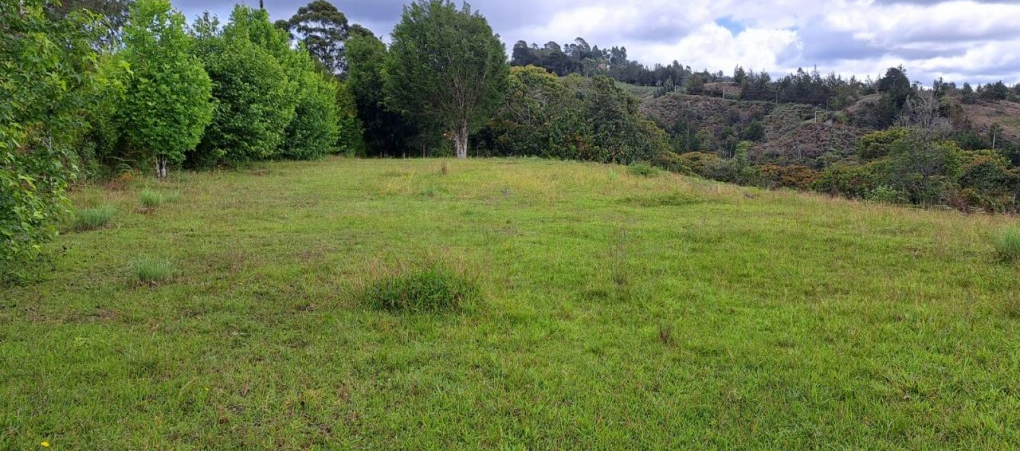 Lote en venta en El Tablazo, Rionegro, 5389 m² · foto 2 de 13