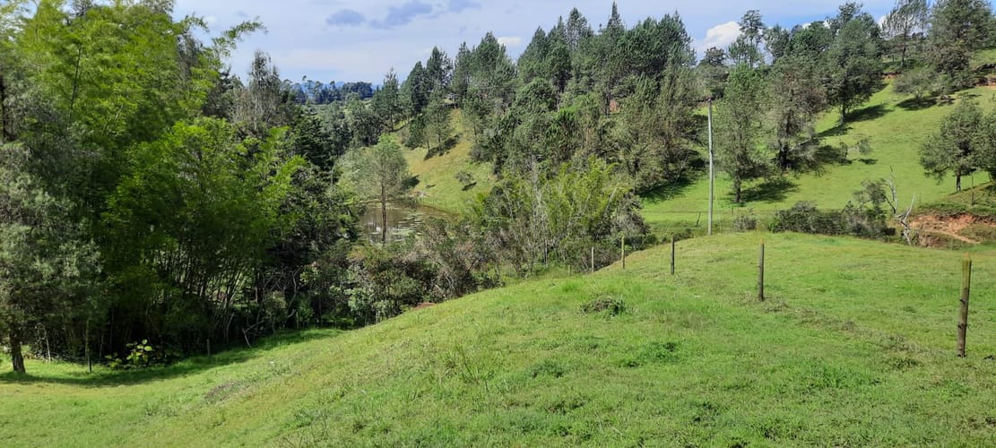 Finca en venta en La Laja, Rionegro, 78267 m² · foto 19 de 23