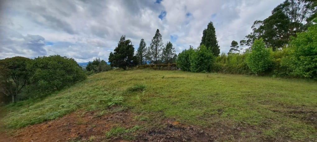 Lote en venta en El Tablazo, Rionegro, 5389 m² · foto 3 de 13