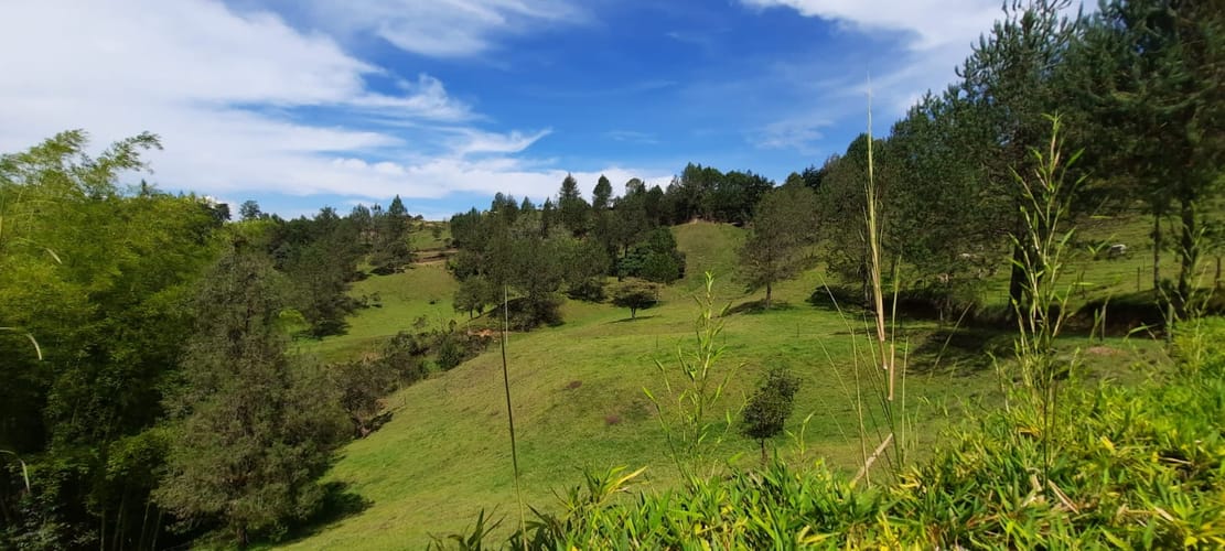 Finca en venta en La Laja, Rionegro, 78267 m² · foto 20 de 23