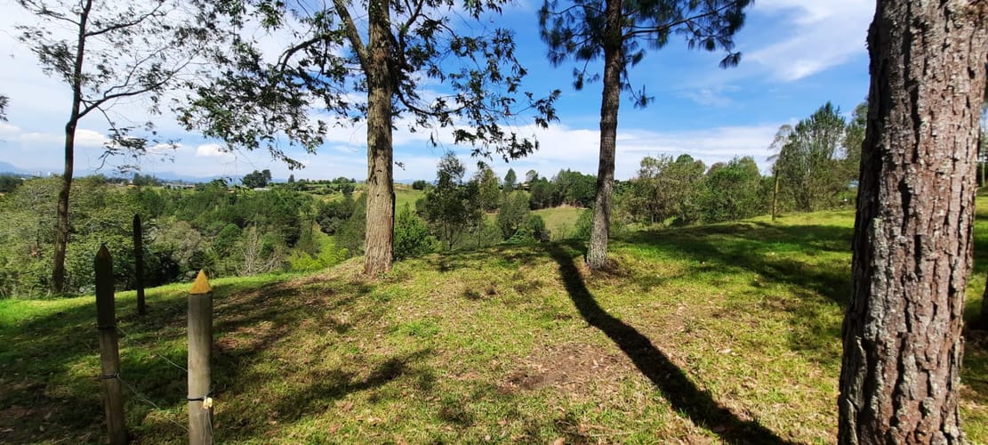 Finca en venta en La Laja, Rionegro, 78267 m² · foto 21 de 23