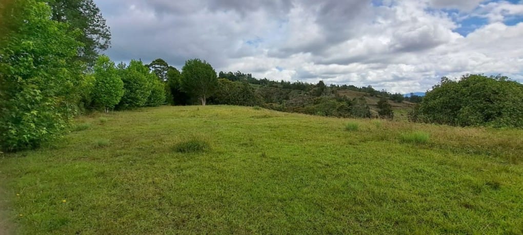Lote en venta en El Tablazo, Rionegro, 5389 m² · foto 5 de 13