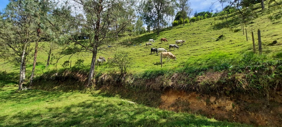 Finca en venta en La Laja, Rionegro, 78267 m² · foto 22 de 23
