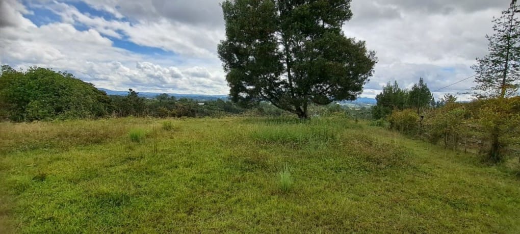 Lote en venta en El Tablazo, Rionegro, 5389 m² · foto 6 de 13