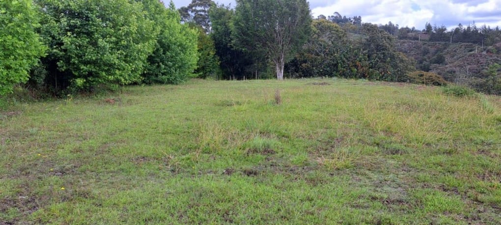Lote en venta en El Tablazo, Rionegro, 5389 m² · foto 8 de 13