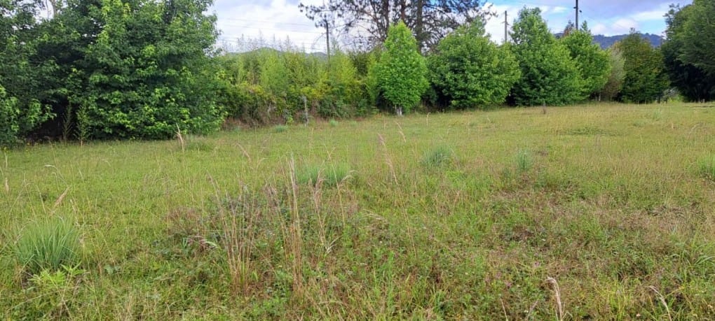 Lote en venta en El Tablazo, Rionegro, 5389 m² · foto 9 de 13