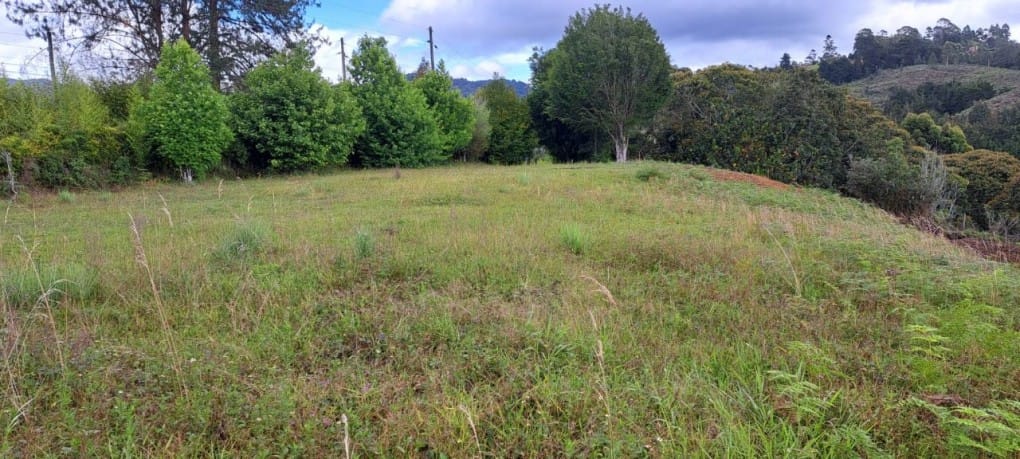 Lote en venta en El Tablazo, Rionegro, 5389 m² · foto 12 de 13