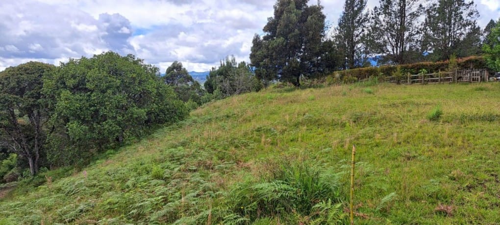 Lote en venta en El Tablazo, Rionegro, 5389 m² · foto 13 de 13