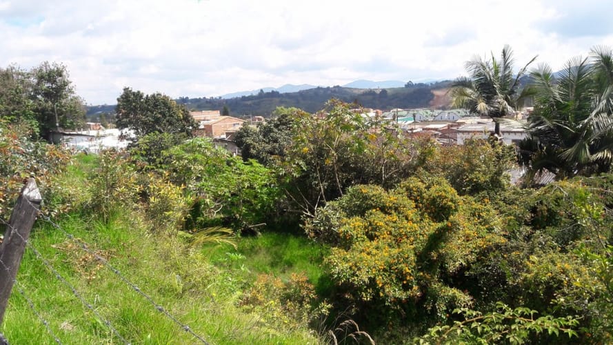 Lote en venta en El Carmen De Viboral, El Carmen de Viboral, 743 m² · foto 6 de 11