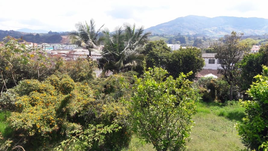 Lote en venta en El Carmen De Viboral, El Carmen de Viboral, 743 m² · foto 7 de 11