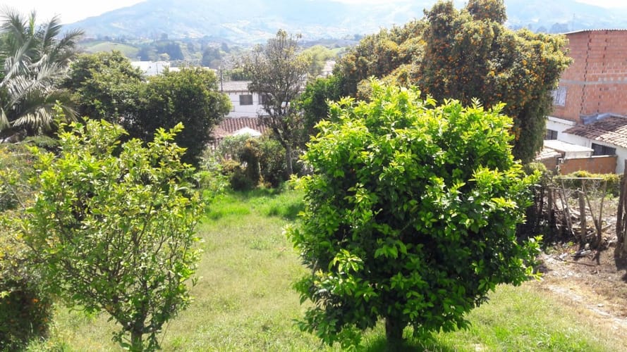 Lote en venta en El Carmen De Viboral, El Carmen de Viboral, 743 m² · foto 8 de 11
