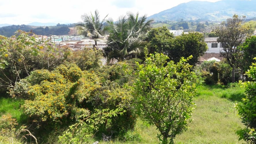 Lote en venta en El Carmen De Viboral, El Carmen de Viboral, 743 m² · foto 9 de 11