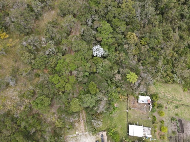 Lote en venta en Guarne, 26827 m² · foto 2 de 15