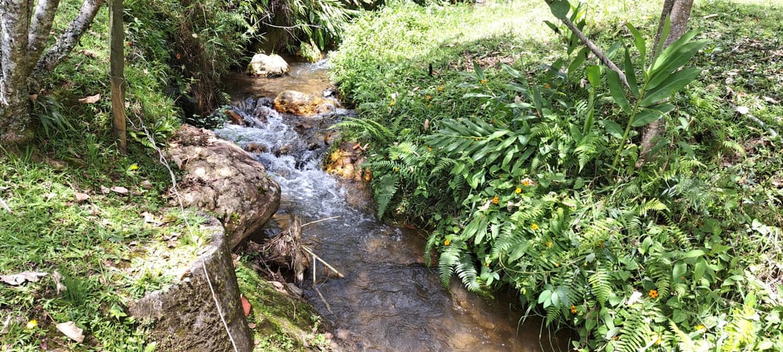 Finca en venta en Tablacito, Rionegro, 6400 m² · foto 9 de 21