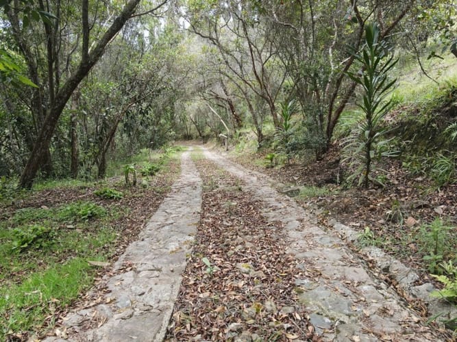 Lote en venta en Guarne, 26827 m² · foto 8 de 15