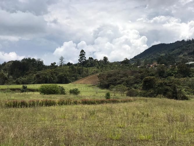 Lote en venta en El Carmen de Viboral, 5646 m² · foto 7 de 16
