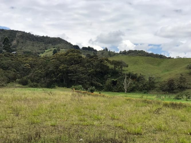 Lote en venta en El Carmen de Viboral, 5646 m² · foto 8 de 16