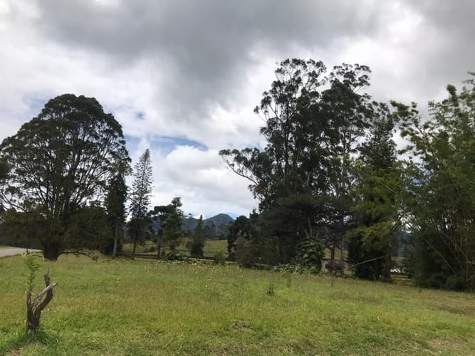Lote en venta en El Carmen de Viboral, 5646 m² · foto 9 de 16