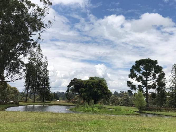 Lote en venta en El Carmen de Viboral, 5646 m² · foto 12 de 16