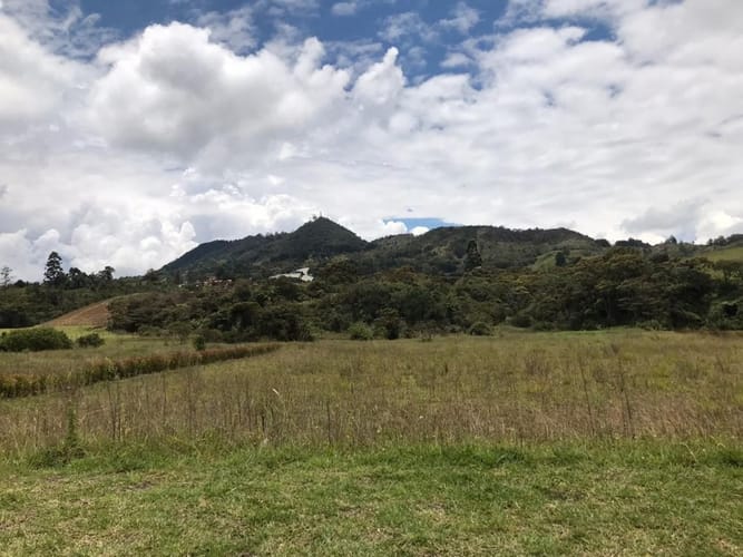 Lote en venta en El Carmen de Viboral, 5646 m² · foto 14 de 16