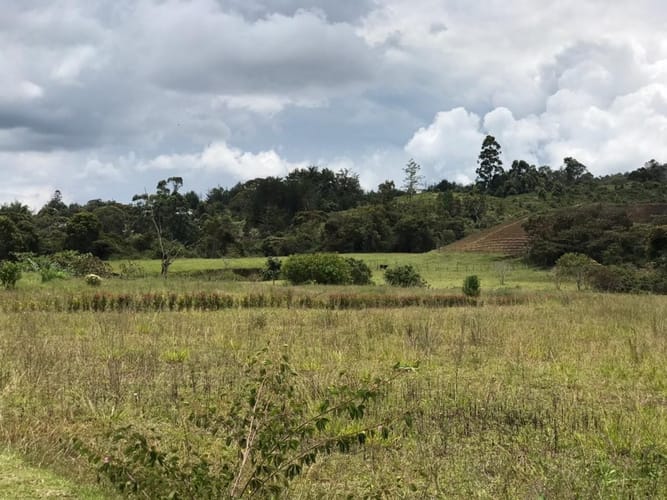 Lote en venta en El Carmen de Viboral, 5646 m² · foto 15 de 16