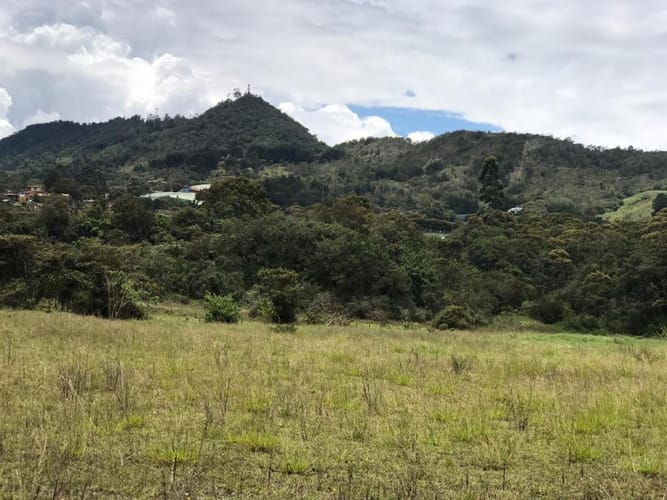 Lote en venta en El Carmen de Viboral, 5646 m² · foto 16 de 16