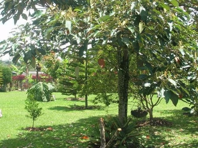 Finca en venta en El Porvenir, Rionegro, 3700 m² · foto 16 de 16
