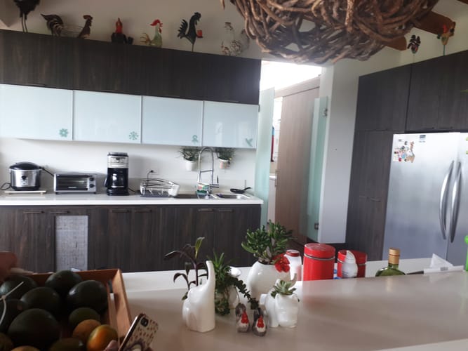 Finca en venta en El Porvenir, Rionegro, 3680 m² · foto 6 de 24